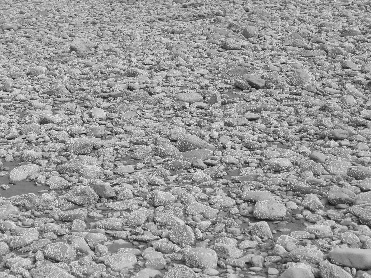 Rocks exposed at low tide, Alma, NB