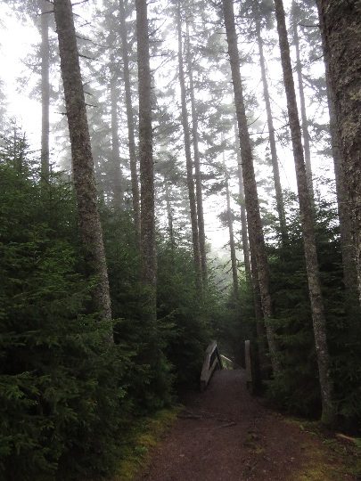 Sheephaven trail, Fundy National Park