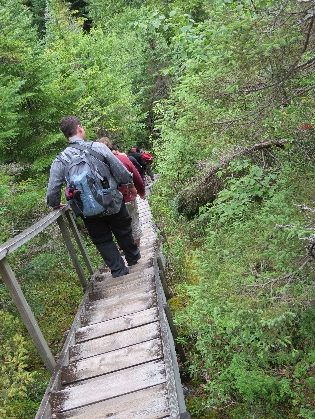 Edible food interpreted walk, Fundy National Park