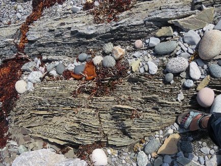 Micro stratification at Green Point, Gros Morne, NL