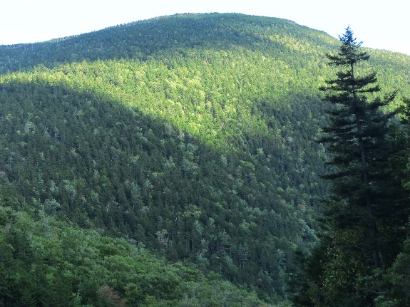 On the scenic drive, White Mountains, NH