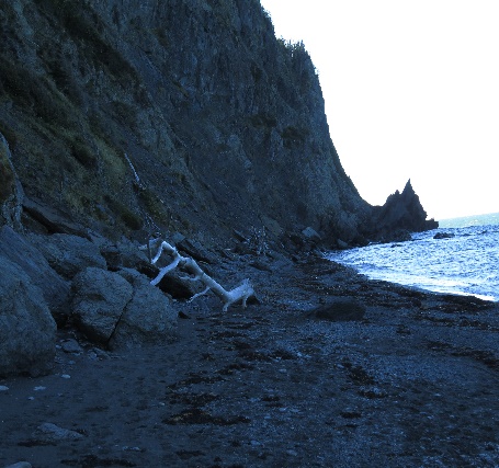 Sea disacrd in Secteur Rioux, Chemin du Nord, Parc National du Bic Sea disacrd in Secteur Rioux, Chemin du Nord, Parc National du Bic, Quebec