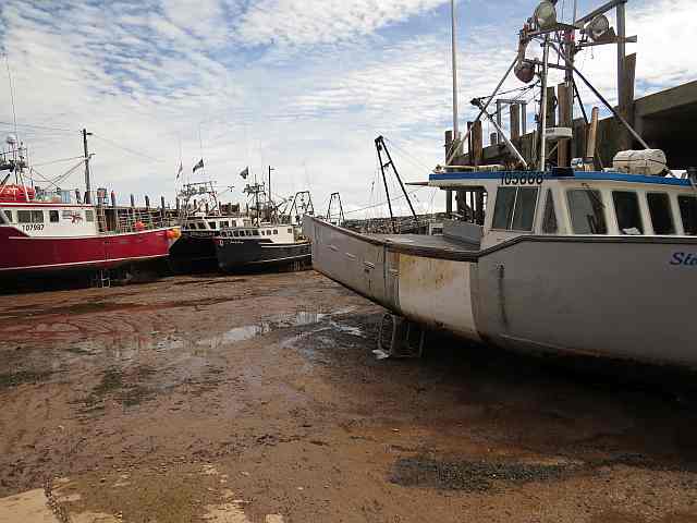Boats stranded low tide, Alma, NB