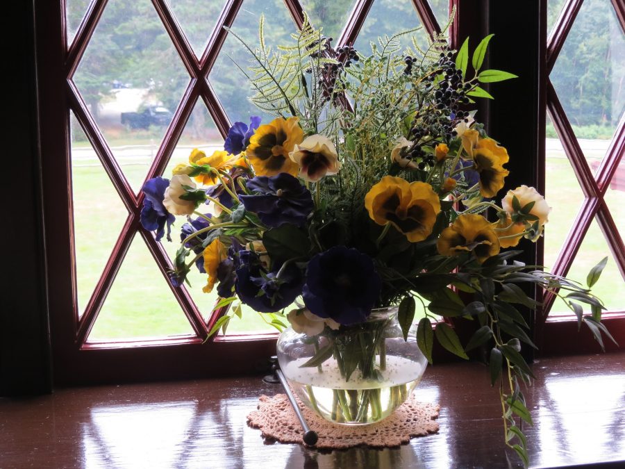 Flowers in window, Roosevelt Cottage