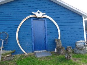 Huge whale rib decorating house, Trout River, NFL