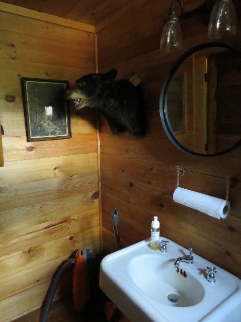 Bear's head greets you in the bathroom, Keene's furniture store