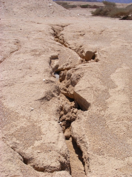 Cracks in mud by reservoir near Eilat. Nov 2013