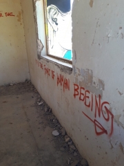 It is the fault of human beings