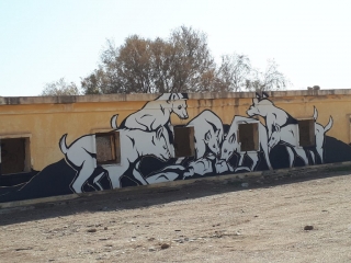 Figthing over the carcass of the Dead Sea? Gallery Minus 430, Kalya