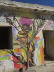 Israeli summer thorn. Minus 430 Gallery, Kalya