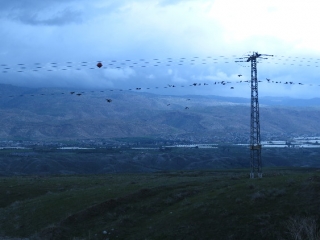 views-across-road-90-into-jordan_24573861333_o Birds on lines and view towards Jordan from Route 90