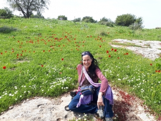 In the anemone field. Neot Kedumim