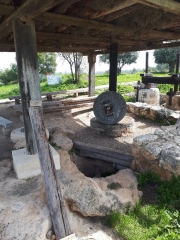 Olive press, Neot Kedumim