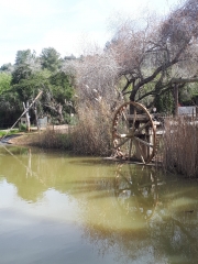 The water wheel, Neot Kedumim