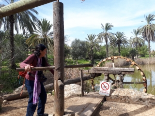 Turning the water wheel, Neot Kedumim