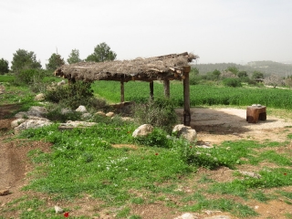 Sukka, Neot Kedumim