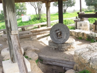 Oil press, Neot Kedumim