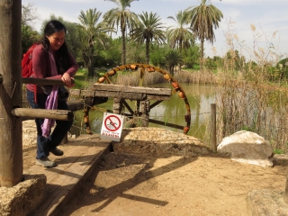 Turning the water wheel, Neot Kedumim