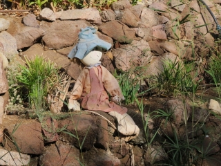Planted terrace with dollie inside botanical garden, Eilat, Israel Planted terrace with dollie inside botanical garden, Eilat, Israel
