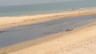 Alexander "River" estuary by Beit Yanai Alexander "River" estuary by Beit Yanai, Israel