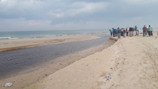 Our hiking group by Alexander "River" estuary Our hiking group by Alexander "River" estuary, Israel