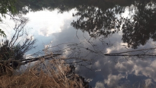 Alexander "River" reflections. Sharon, Israel Alexander "River" reflections. Sharon, Israel