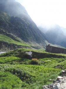 Cultivated plots along the road from Manali to Leh, Himachal Pradesh Cultivated plots along the road from Manali to Leh, Himachal Pradesh