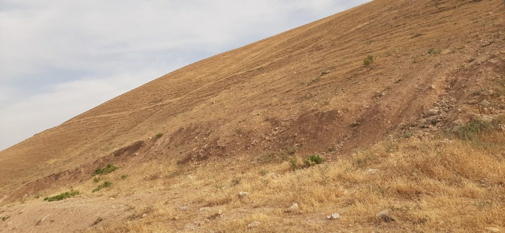 The stark Judean desert outside the Good Samaritan Inn