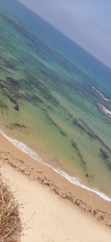 This beautiful sea. Apollonia This beautiful sea. Apollonia