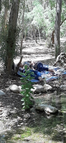 A couple enjoying an embrace in the coolness of a grove. Einot Tzukim national Park A couple enjoying an embrace in the coolness of a grove. Einot Tzukim national Park