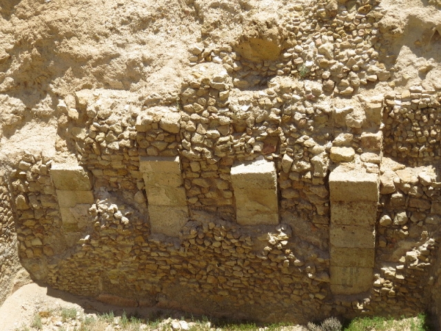 Down under. Mamshit Down under. Mamshit