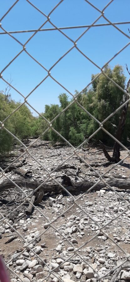 Burned section of reserve. Einot Tzukim Nature Reserve