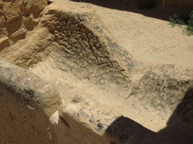 Drainage. Mamshit National Park Drainage. Mamshit National Park