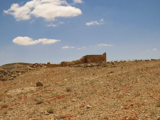 Mamshit ruins set against the desert backdrop