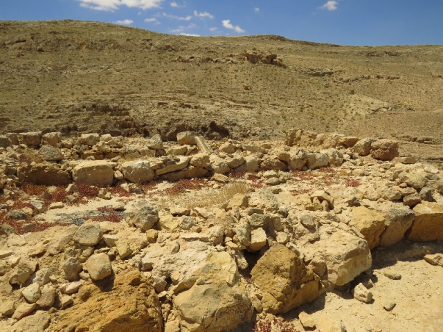 Ruins in desert landscape. Mamshit National Park