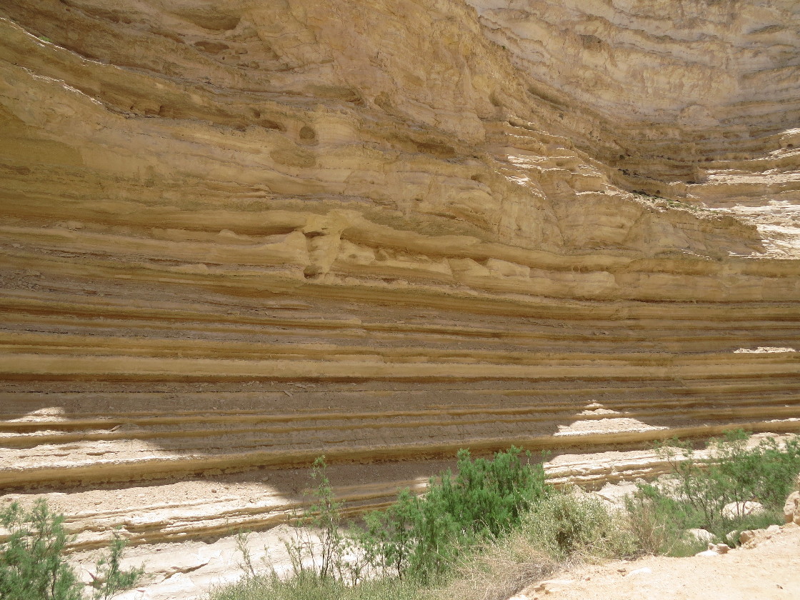 Sedimentation and floodwater gnawing at Avdat canyon walls. 