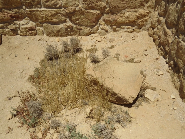 There used to be life here. Mamshit There used to be life here. Mamshit