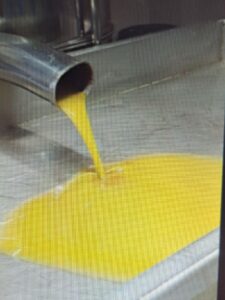 Olive oil pouring out of decanter. Khatib olive oil press, Deri al Asad