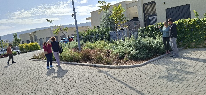 Stage 11, new beautifulsubdivision in Atzmon, Misgav