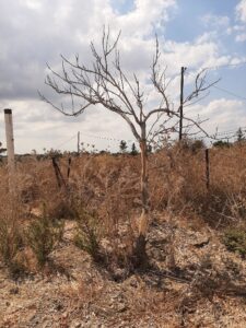 Forlorn landscapes around Kibbutz Harel vicinity of the Burma Road
