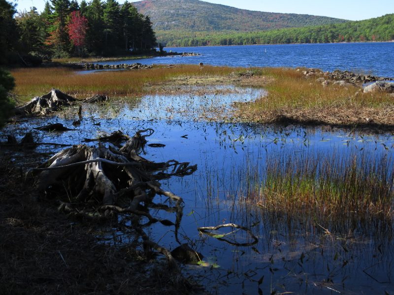 Lake Eagle wetland, Acadia