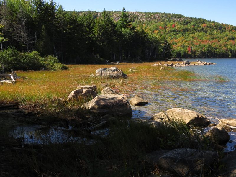 Lake Eagle wetland, Acadia
