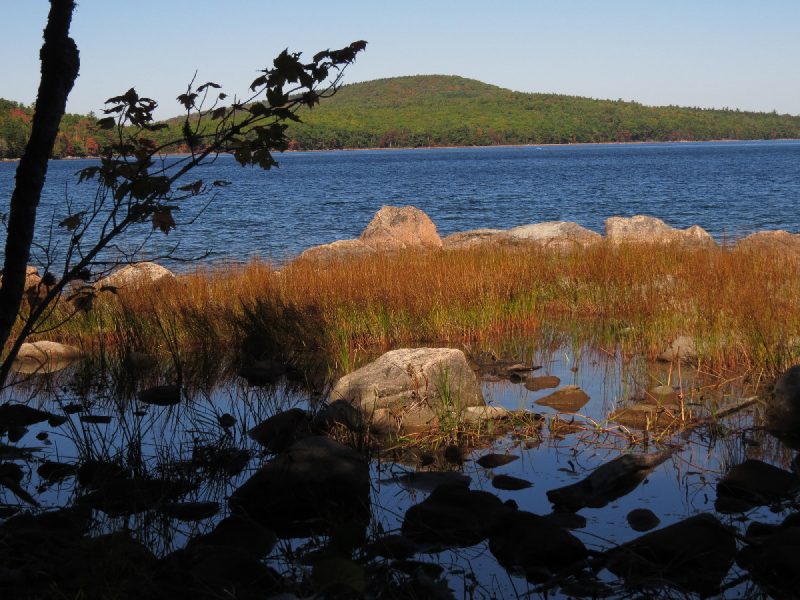 Lake Eagle wetland, Acadia
